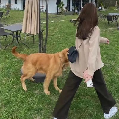 过家家